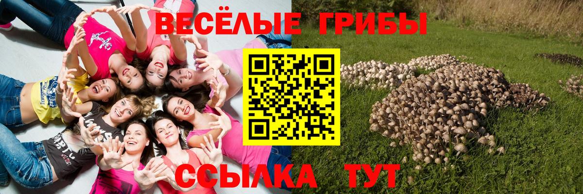 Псилоцибиновые грибы Cubensis Астрахань