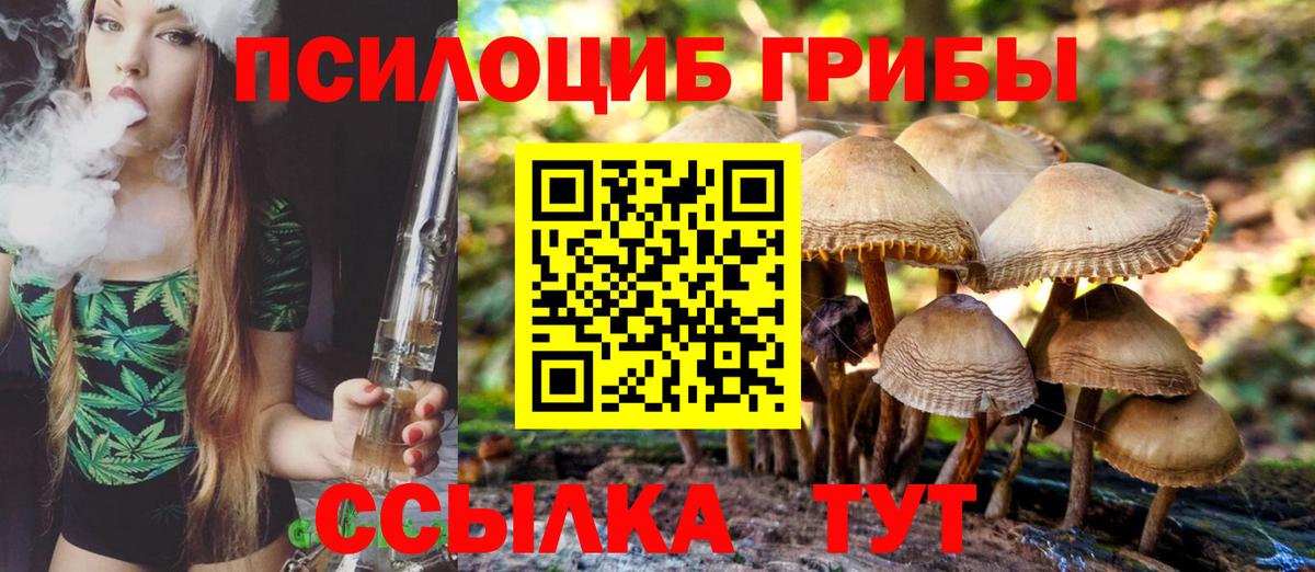 Галлюциногенные грибы Magic Shrooms  Псилоцибиновые грибы GOLDEN TEACHER  Астрахань  Вход с VPN 